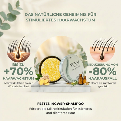 Infographie DE 8