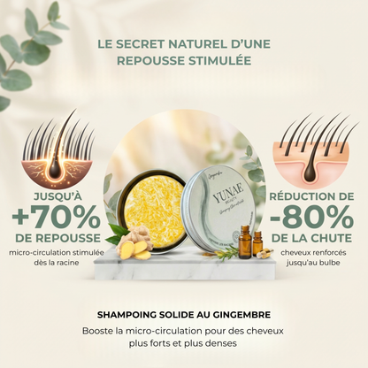 Shampoing Solide Anti-Chute — Élixir Concentré