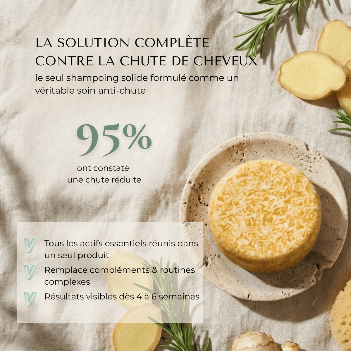 Shampoing Solide Anti - Chute — Élixir Concentré - Yunae Beauty CH