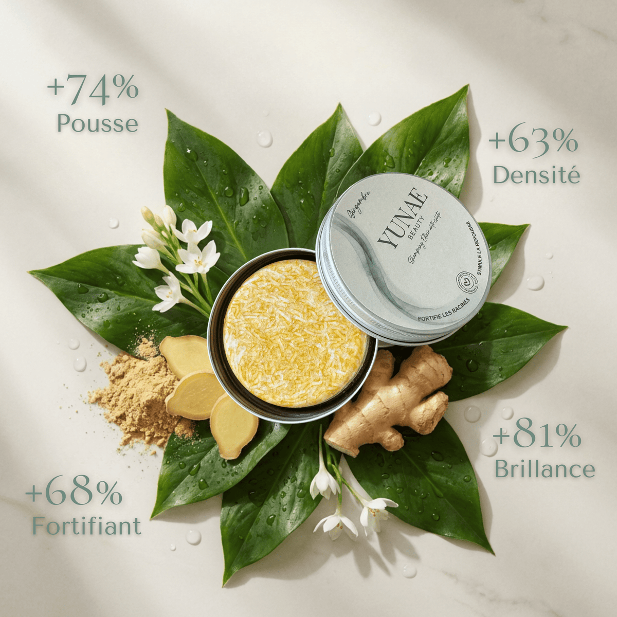 Shampoing Solide Anti - Chute — Élixir Concentré - Yunae Beauty CH